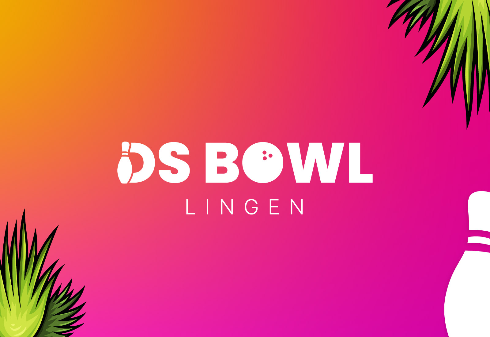 DS Bowl CI